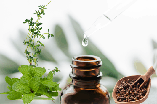 The Power of Nature: How Peppermint, Clove, and Thyme Oils Work Together to Repel Rodents