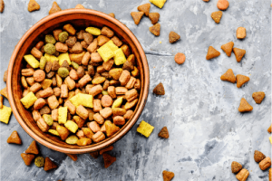 an over flowing bowl dog dog food on the floor