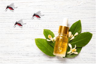 How essential oils work to repel insects: The science behind Minus Bite All Natural Bug Spray