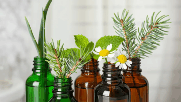 Essential oils and plants<br />
