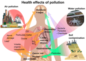 health effects of pesticides