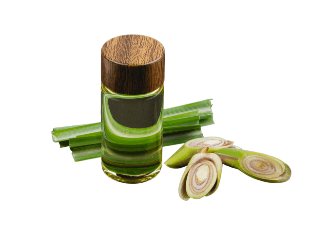 pure lemongrass oil