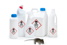 The Dangers Lurking in Traditional Mice Repellents: Why You Should Switch to Natural Options